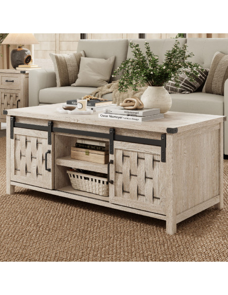 Mesa centro 2 puertas Vinh gris