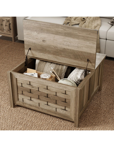 Mesa centro baúl Vinh café