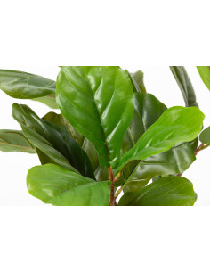 Ficus Lyrata Artificial 60cm - Planta Decorativa Sin Mantenimiento 2