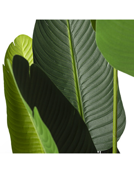 Hoja de Plátano Artificial 150cm - Decoración Natural