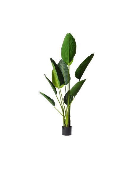 Hoja de Plátano Artificial 150cm - Decoración Natural