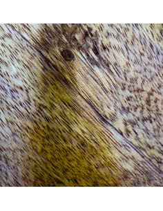 Plato de Madera Tostado 20 cm - Elegante y Duradero 2