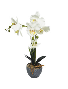 Orquídea artificial 62cm blanca rama doble