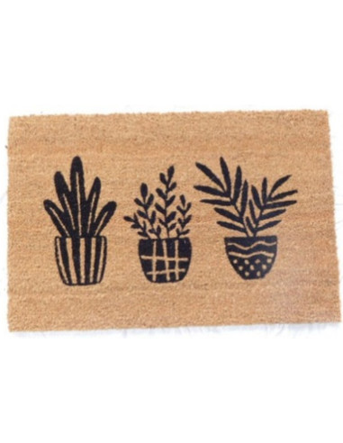 Limpiapies 40x60cm Plantas