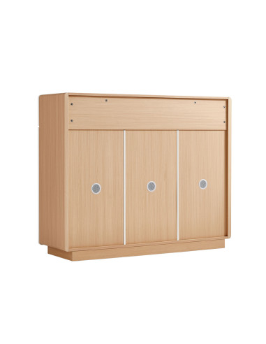 Buffet 2 cajones 3 puertas Hikari