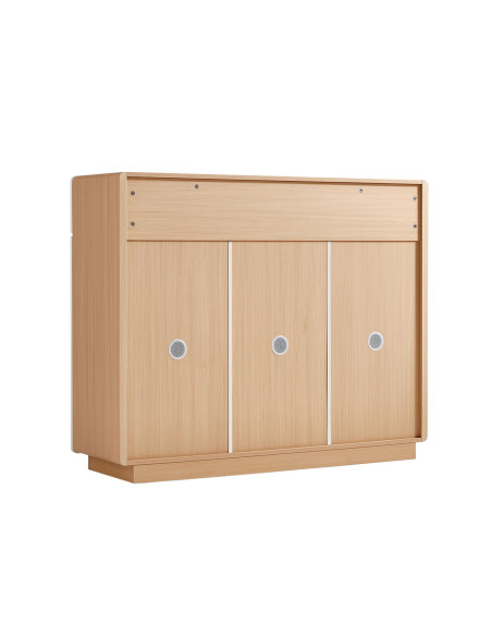 Buffet 2 cajones 3 puertas Hikari