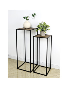 Pedestal planta Johor set2 2