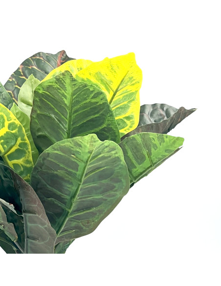 Planta artificial Crotón 35cm