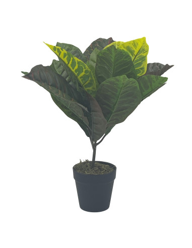 Planta artificial Crotón 35cm