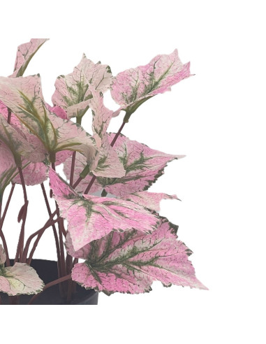 Planta artificial Singonio rosa 30cm