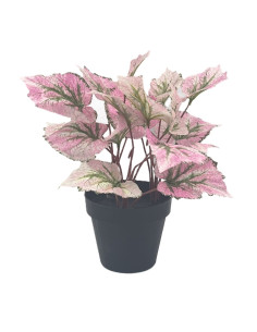 Planta artificial Singonio rosa 30cm
