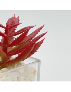 Suculenta rosada base vidrio 9cm 2