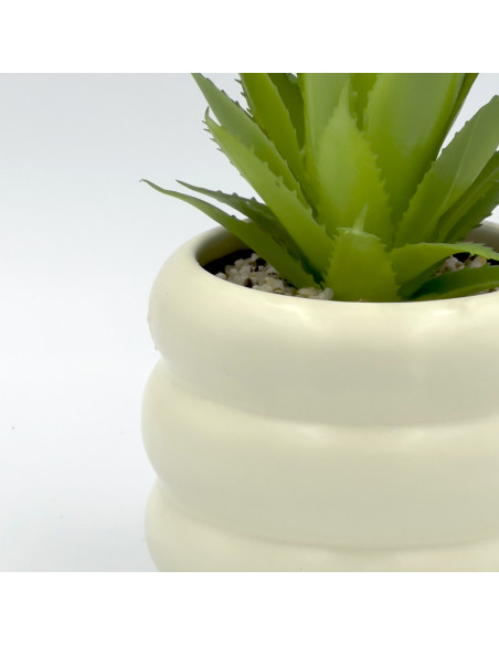 Suculenta base Michelin 18cm