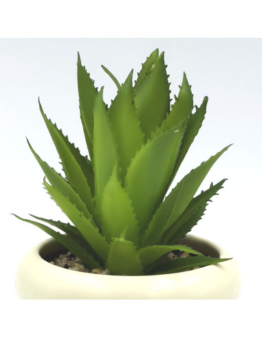 Suculenta base Michelin 18cm