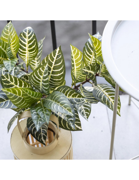 Planta Artificial Nieve Tropical 40cm - Decoración Natural