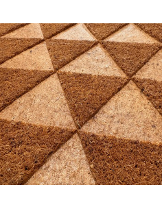 Limpiapies Triangular 60x40 cm - Mantén tu Hogar Limpio 2