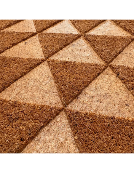 Limpiapies Triangular 60x40 cm - Mantén tu Hogar Limpio