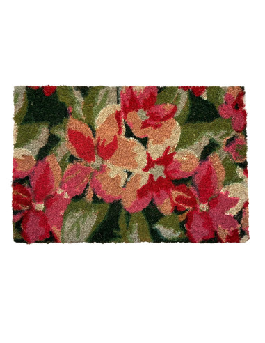 Limpiapies 40x60cm Palmeras