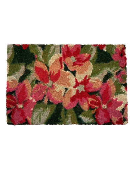 Limpiapies 40x60cm Palmeras