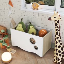 Caja organizadora de juguetes Encanto 2