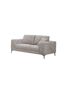 Sofá 2 cuerpos Bliss gris 2