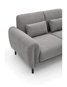 Sofá 2 cuerpos Lucía gris 2