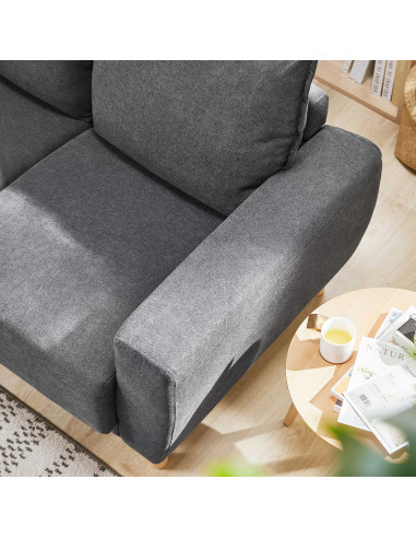 Sofá 2 Cuerpos Maya Gris - Mueble Moderno para Living