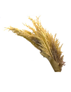 Compra Pasto artificial 103cm en DKO Home. Diseño decorativo, moderno y funcional para tu hogar. ¡Envío rápido disponible! 2