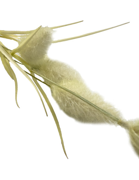 Compra Pasto artificial blanco 74cm en DKO Home. Diseño decorativo, moderno y funcional para tu hogar. ¡Envío rápido disponible!