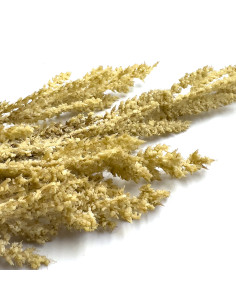 Compra Pasto artificial 90cm en DKO Home. Diseño decorativo, moderno y funcional para tu hogar. ¡Envío rápido disponible! 2