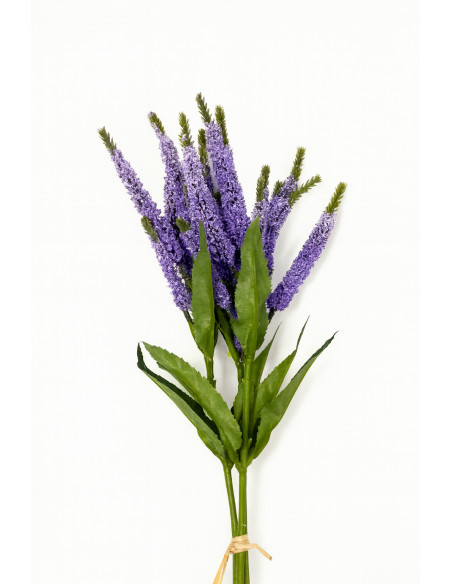 Compra Pasto artificial Lila 43cm en DKO Home. Diseño decorativo, moderno y funcional para tu hogar. ¡Envío rápido disponible!