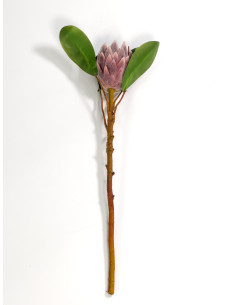 Compra Flor protea artificial M morada en DKO Home. Diseño decorativo, moderno y funcional para tu hogar. ¡Envío rápido disponib 2