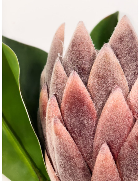 Compra Flor protea artificial M morada en DKO Home. Diseño decorativo, moderno y funcional para tu hogar. ¡Envío rápido disponib