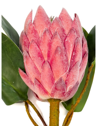 Flor Protea Artificial M Rosada - Decoración de Interiores