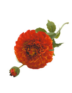 Compra Dalia artificial naranja en DKO Home. Diseño decorativo, moderno y funcional para tu hogar. ¡Envío rápido disponible! 2