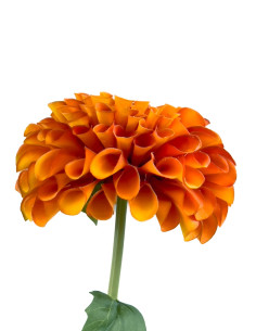 Compra Dalia artificial naranja en DKO Home. Diseño decorativo, moderno y funcional para tu hogar. ¡Envío rápido disponible!