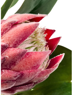 Compra Flor protea artificial M rosada en DKO Home. Diseño decorativo, moderno y funcional para tu hogar. ¡Envío rápido disponib