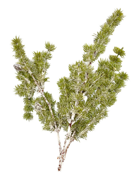 Compra Rama Pino artificial en DKO Home. Diseño decorativo, moderno y funcional para tu hogar. ¡Envío rápido disponible!