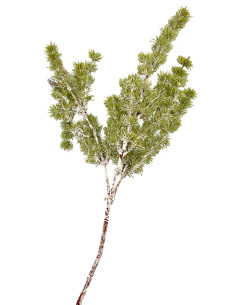 Compra Rama Pino artificial en DKO Home. Diseño decorativo, moderno y funcional para tu hogar. ¡Envío rápido disponible! 2