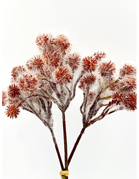 Compra Ramo pompones artificial café 31cm en DKO Home. Diseño decorativo, moderno y funcional para tu hogar. ¡Envío rápido dispo