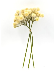 Compra Ramo pompones artificial Beige 31cm en DKO Home. Diseño decorativo, moderno y funcional para tu hogar. ¡Envío rápido disp 2