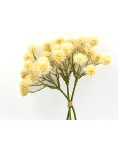Compra Ramo pompones artificial Beige 31cm en DKO Home. Diseño decorativo, moderno y funcional para tu hogar. ¡Envío rápido disp