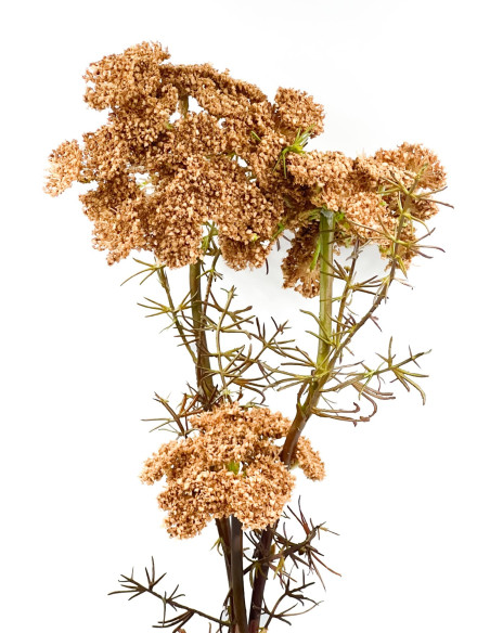 Compra Flor del obispo artificial café en DKO Home. Diseño decorativo, moderno y funcional para tu hogar. ¡Envío rápido disponib