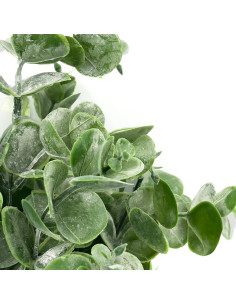 Compra Rama mini eucalipto artificial en DKO Home. Diseño decorativo, moderno y funcional para tu hogar. ¡Envío rápido disponibl