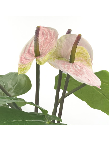 Compra Planta artificial Anturio 45cm en DKO Home. Diseño decorativo, moderno y funcional para tu hogar. ¡Envío rápido disponibl