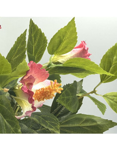 Compra Planta artificial Ramo Rosa 38cm en DKO Home. Diseño decorativo, moderno y funcional para tu hogar. ¡Envío rápido disponi