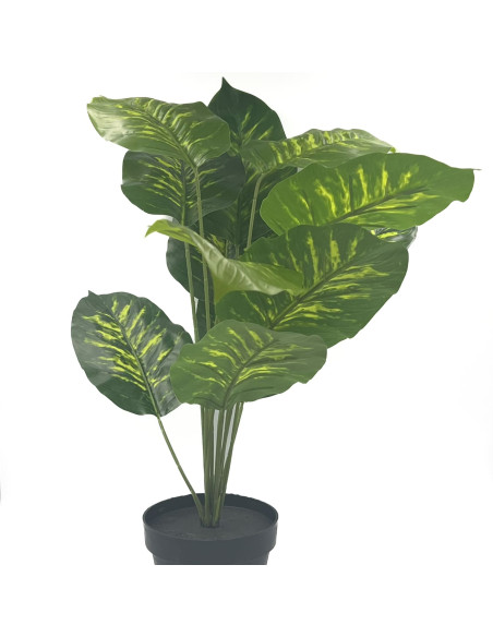 Compra Planta artificial Nieve Tropical 40cm en DKO Home. Diseño decorativo, moderno y funcional para tu hogar. ¡Envío rápido di