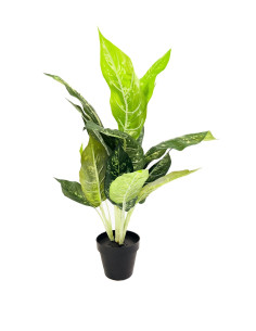 Compra Planta artificial Nieve Tropical 55cm en DKO Home. Diseño decorativo, moderno y funcional para tu hogar. ¡Envío rápido di