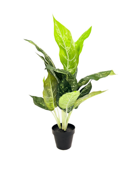 Compra Planta artificial Nieve Tropical 55cm en DKO Home. Diseño decorativo, moderno y funcional para tu hogar. ¡Envío rápido di