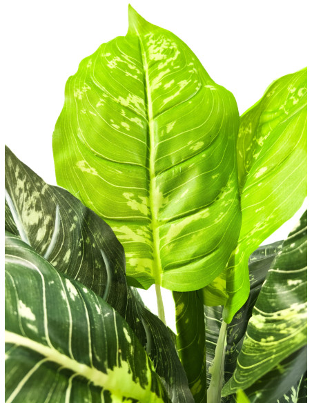 Compra Planta artificial Nieve Tropical 55cm en DKO Home. Diseño decorativo, moderno y funcional para tu hogar. ¡Envío rápido di